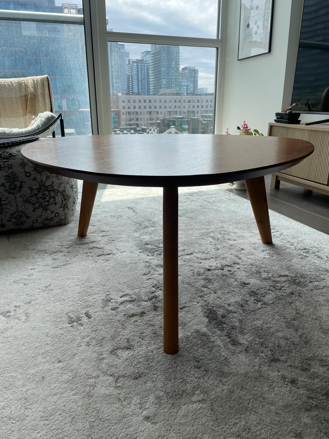 Structube Mid-century Modern Coffee Table