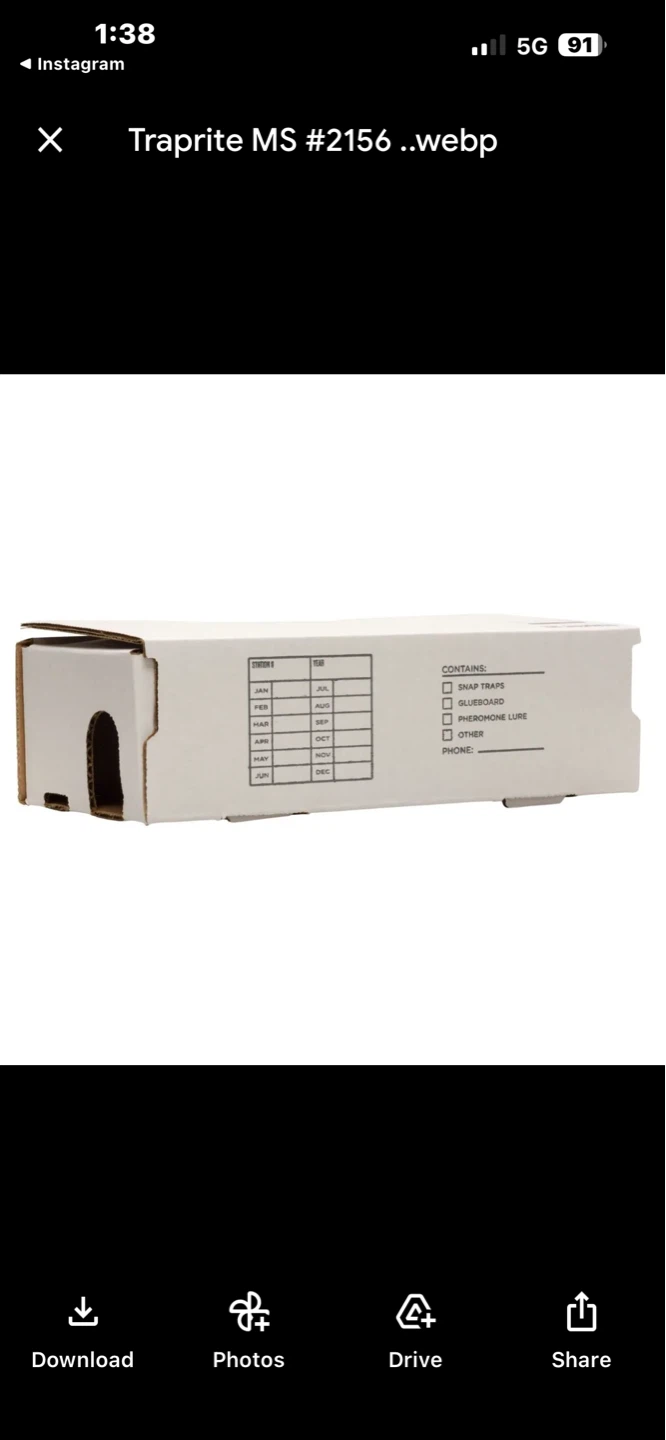 Traprite MS #2156 Mouse Snap Traps Box