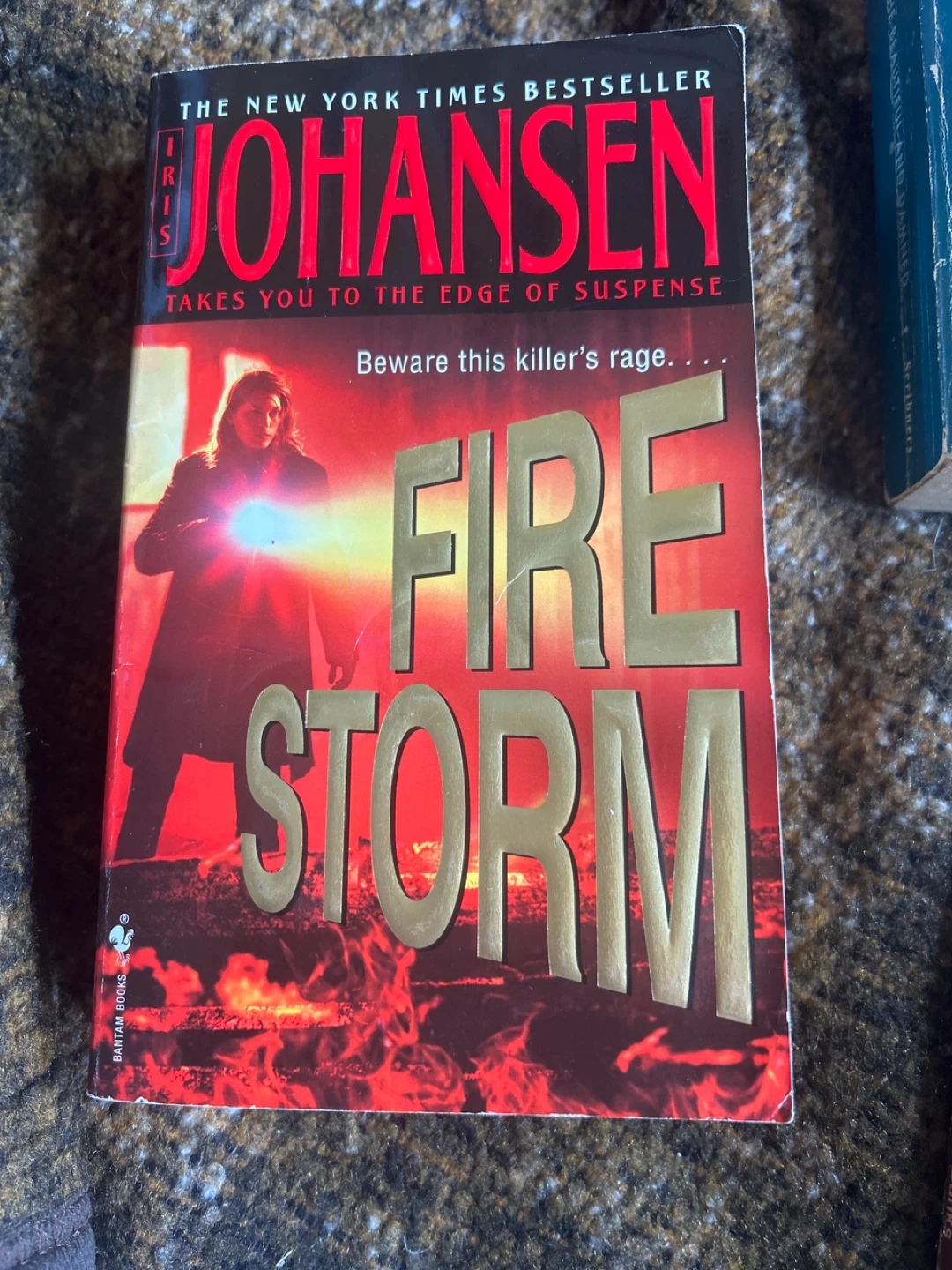 Fire Storm by Iris Johansen