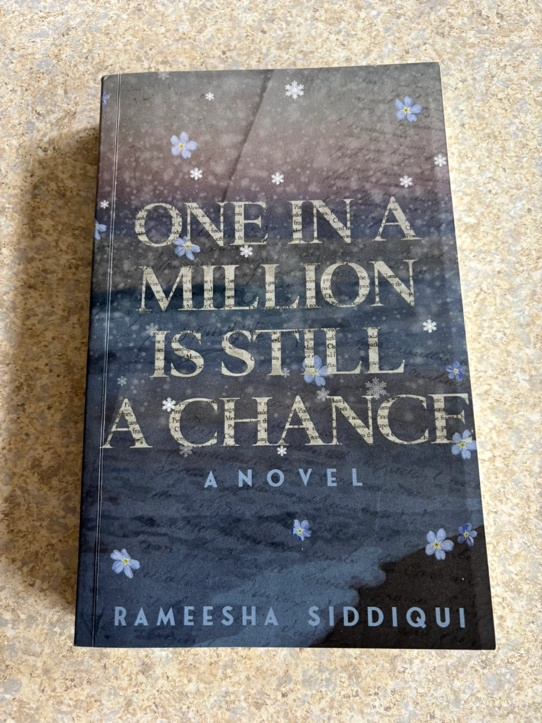 One in a Million Is Still a Chance Novel by Rameesha Siddiqui