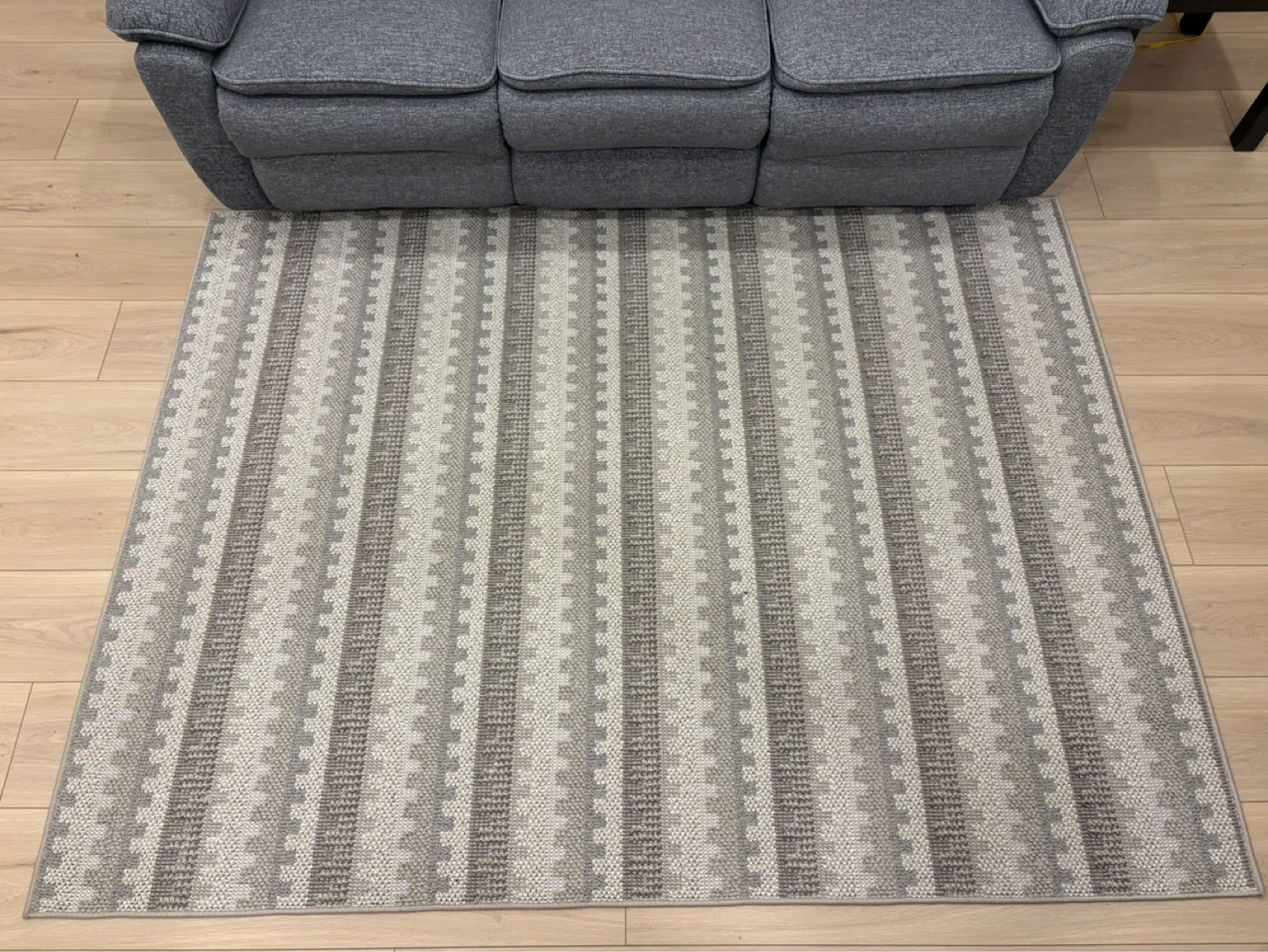 Couch and Striped Area Rug - photo 4
