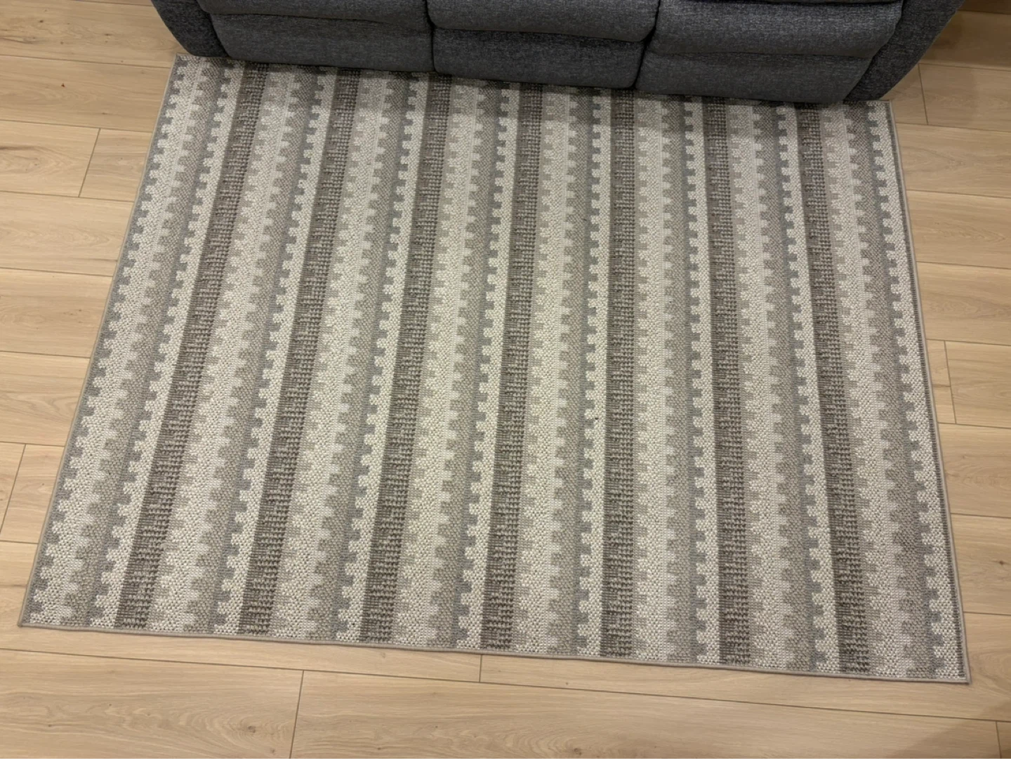 Couch and Striped Area Rug - photo 5