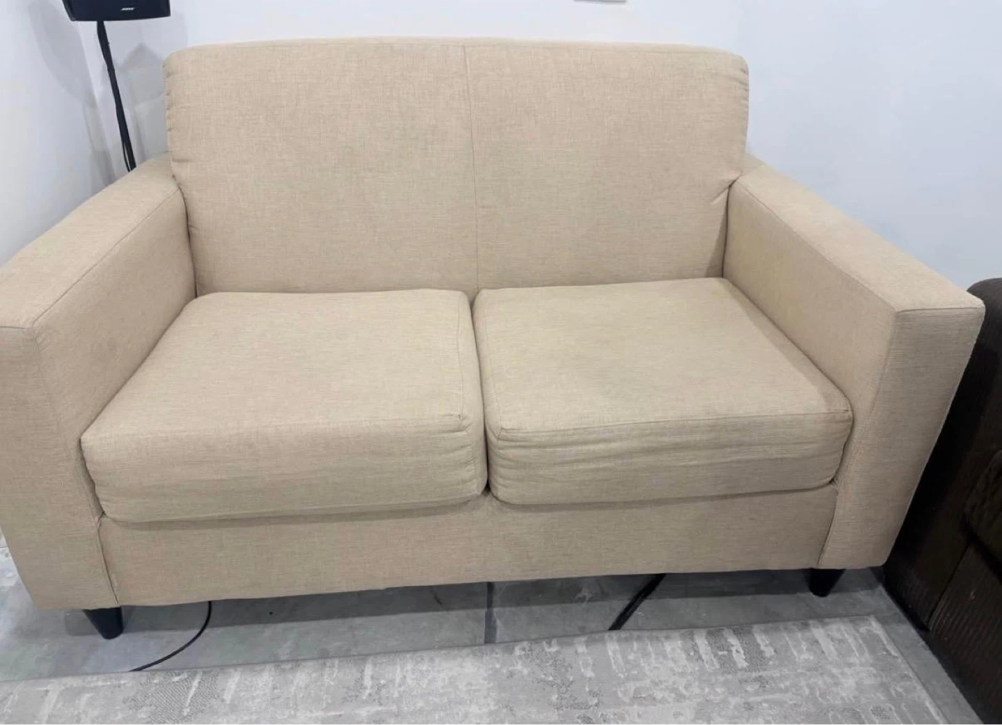Beige Loveseat Sofa