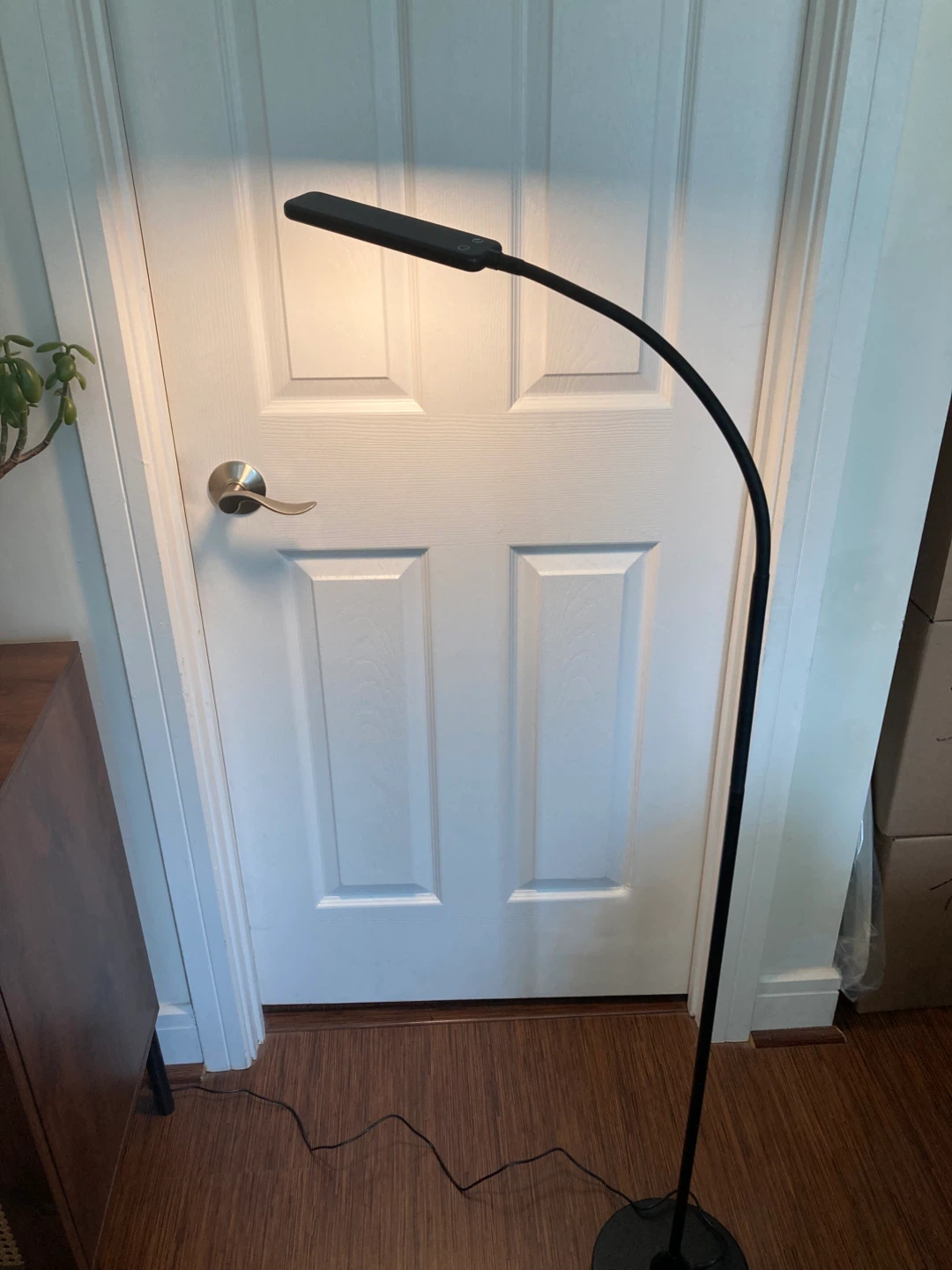 Black Gooseneck Floor Lamp x2
