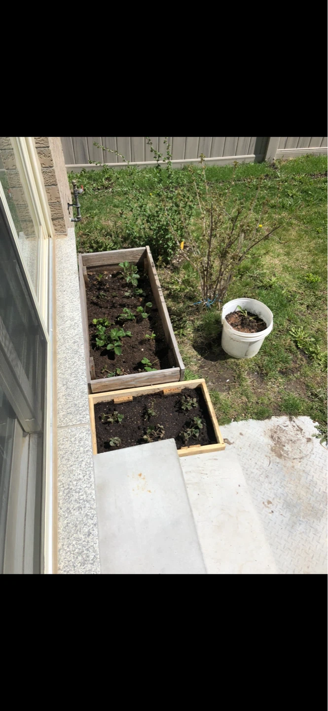 Wooden garden planter box - photo 2
