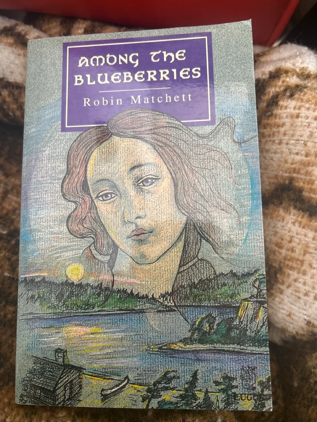 Among the Blueberries by Robin Matchett Book