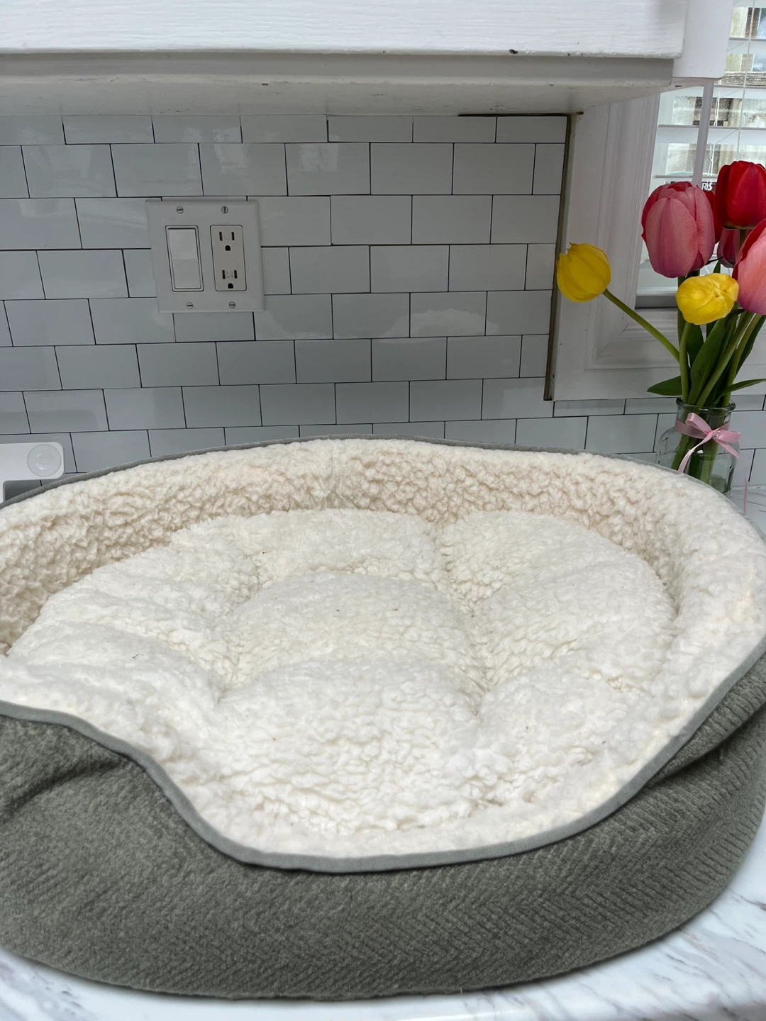 Pet Crate, bed and food/water bowls - photo 3