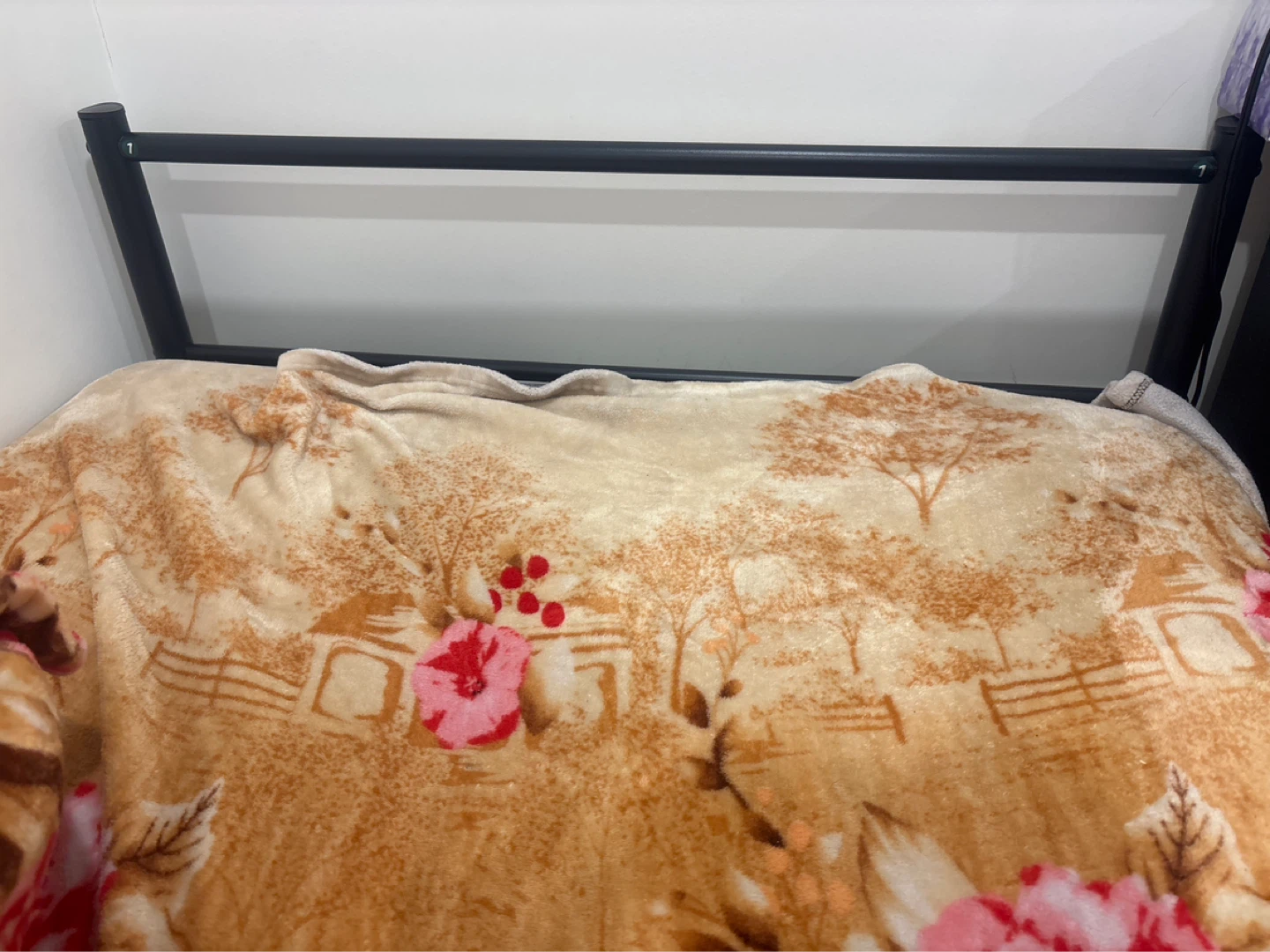 Bed Frame with mattress