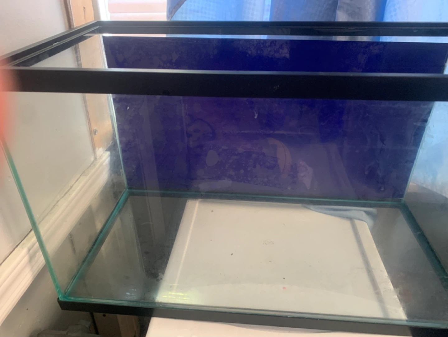 Glass Aquarium Tank - photo 3