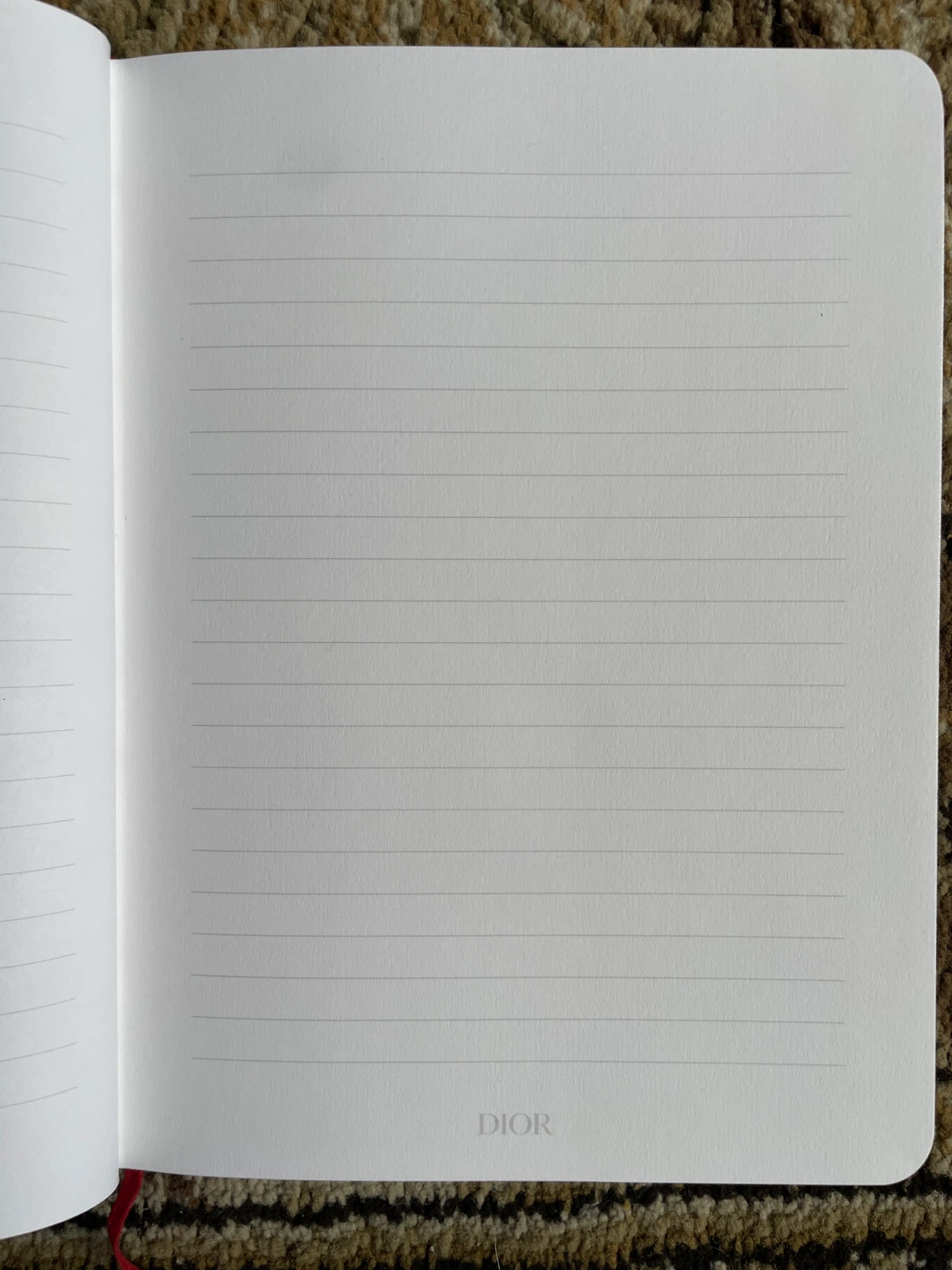 DIORAMOUR Lined Notebook - photo 4