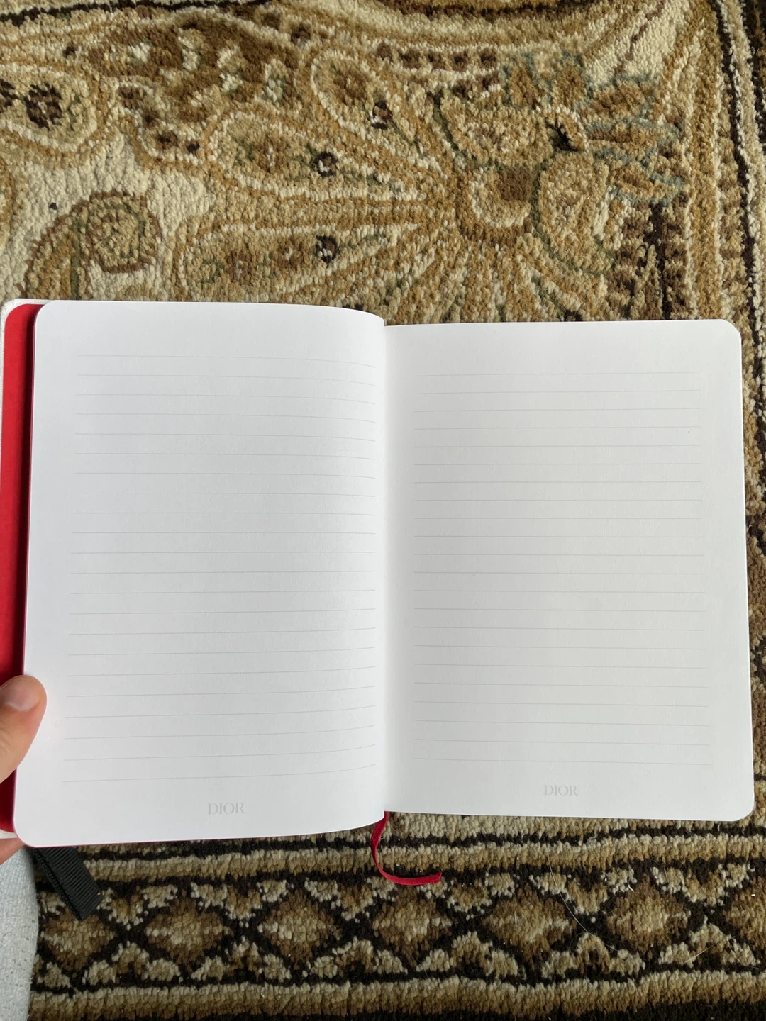 DIORAMOUR Lined Notebook - photo 3