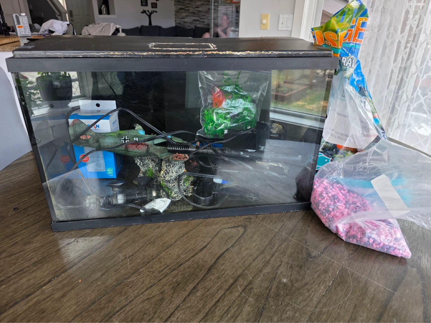 Aquarium with Accessories