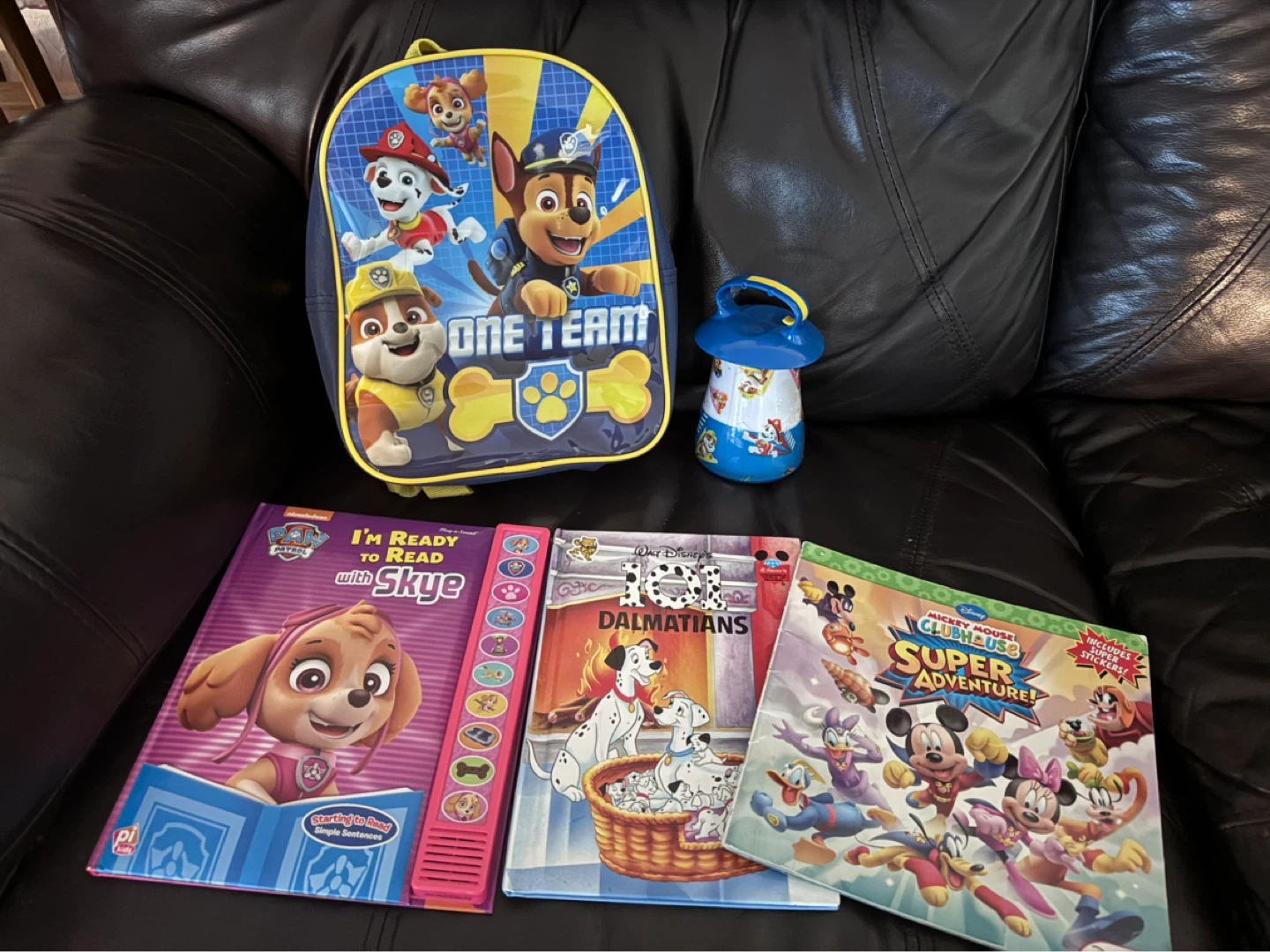 Paw Patrol I'm Ready to Read with Skye Sound Book & Backpack Set