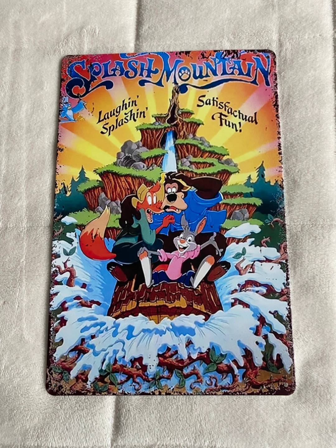 Disney Splash Mountain Metal Sign - 8.5 x11