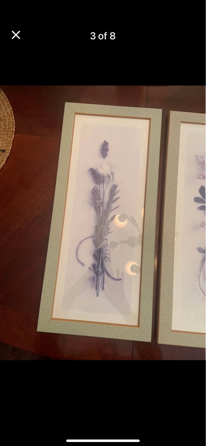 Set of 2 Framed Botanical Prints - photo 3