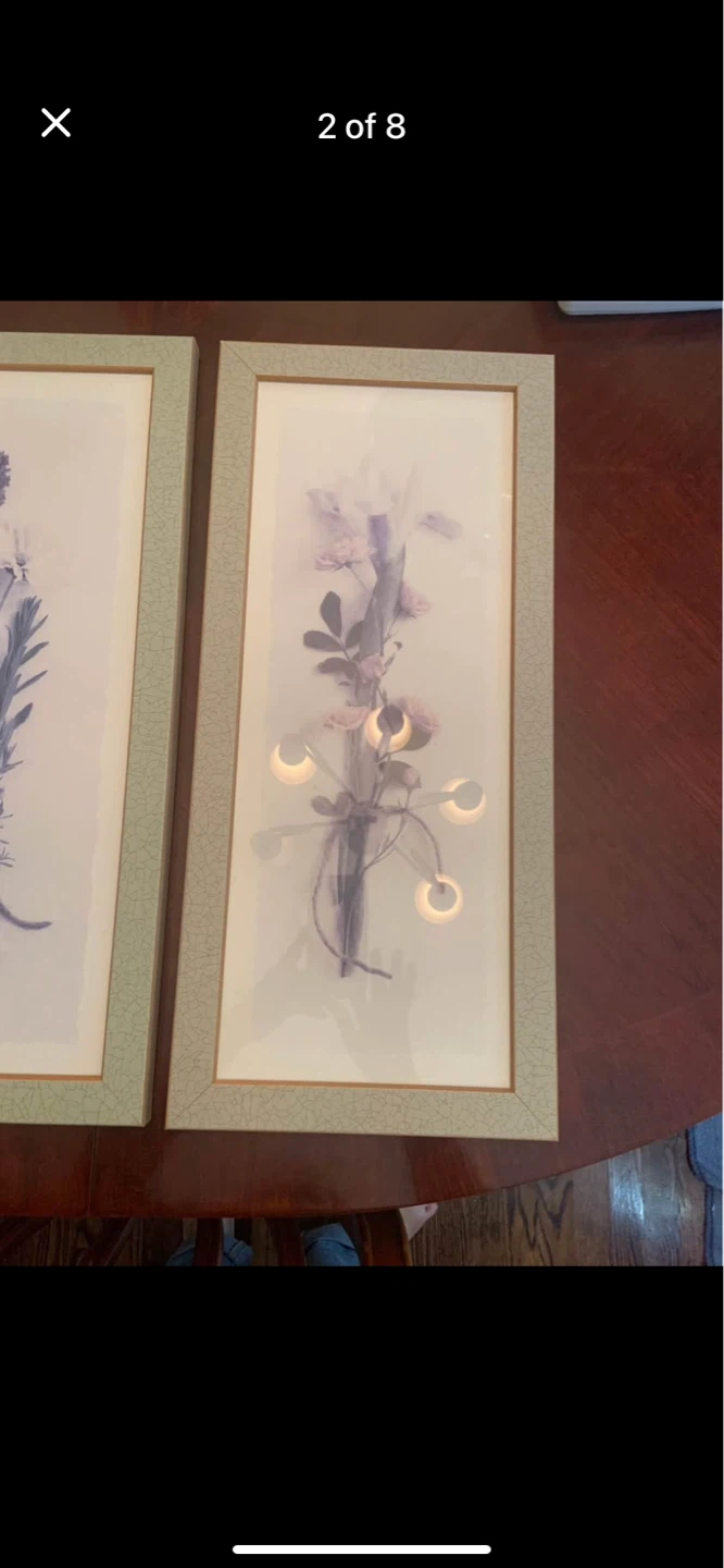 Set of 2 Framed Botanical Prints - photo 2