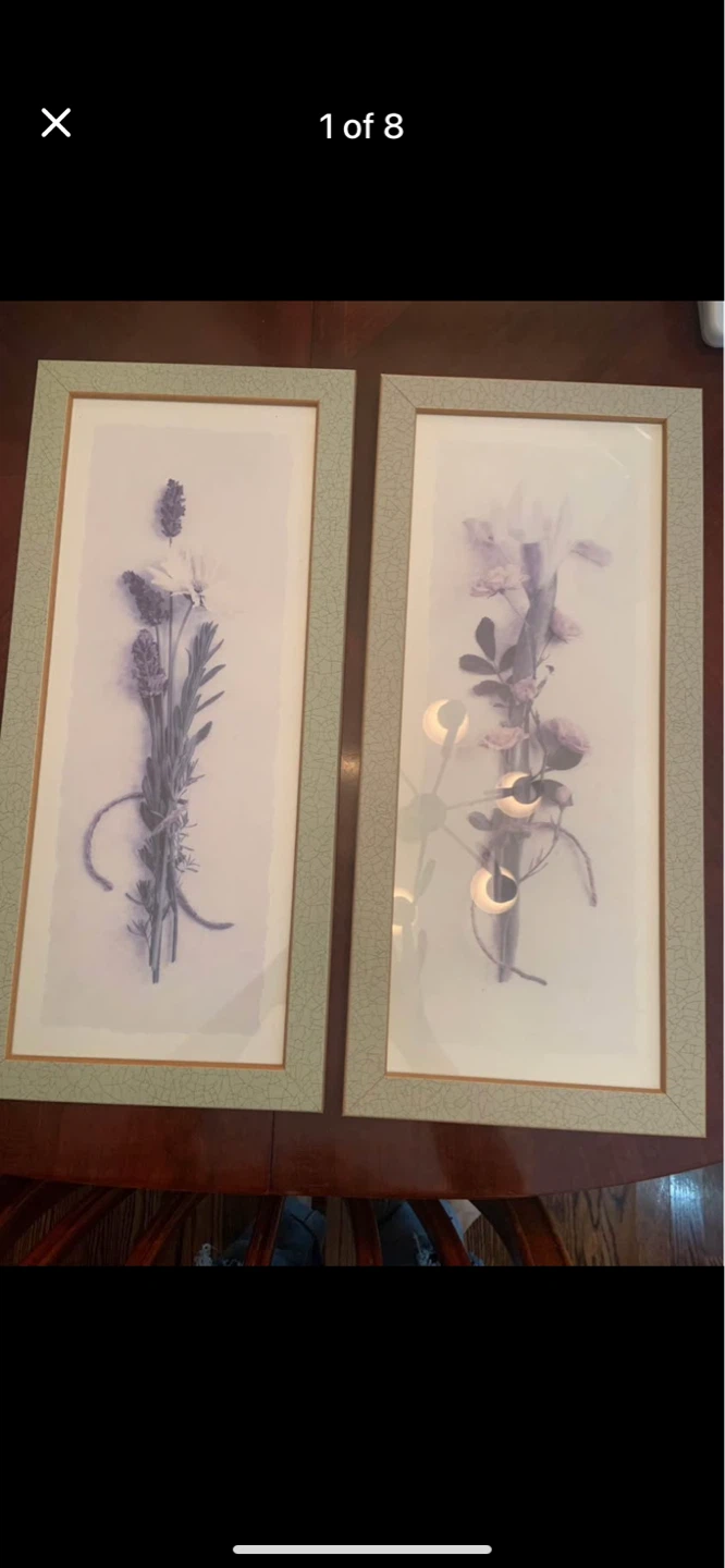 Set of 2 Framed Botanical Prints