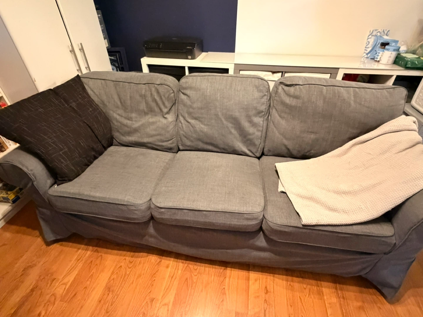 Gray Sofa with Removable Cover