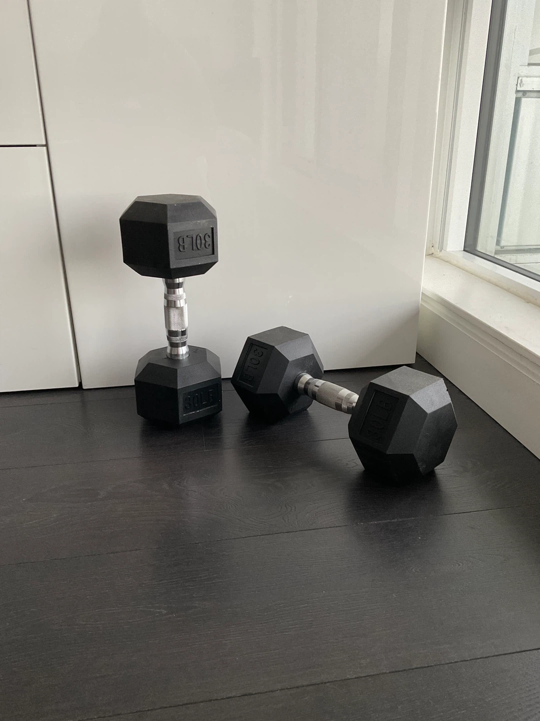 30lb Dumbbells (Pair)