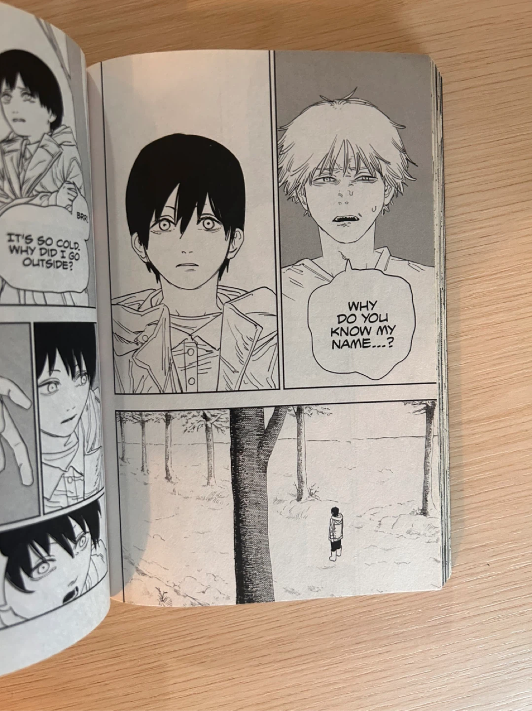 ChainsawMan Manga Volume 9 - photo 3