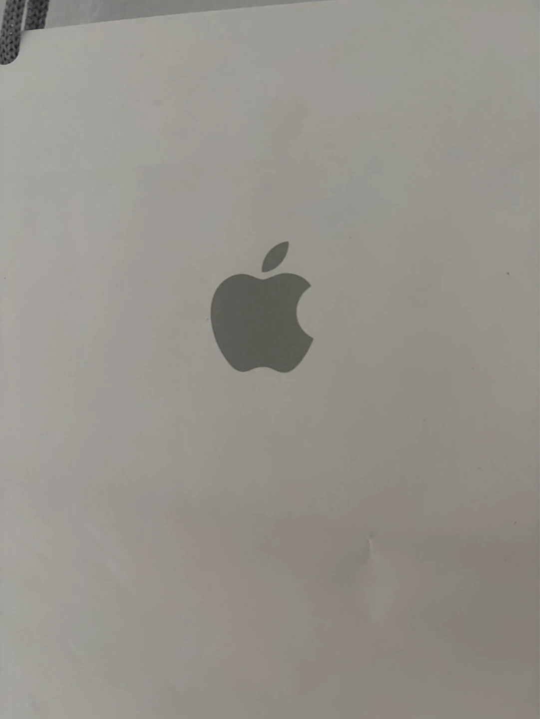 Apple Shopping Bag - photo 4