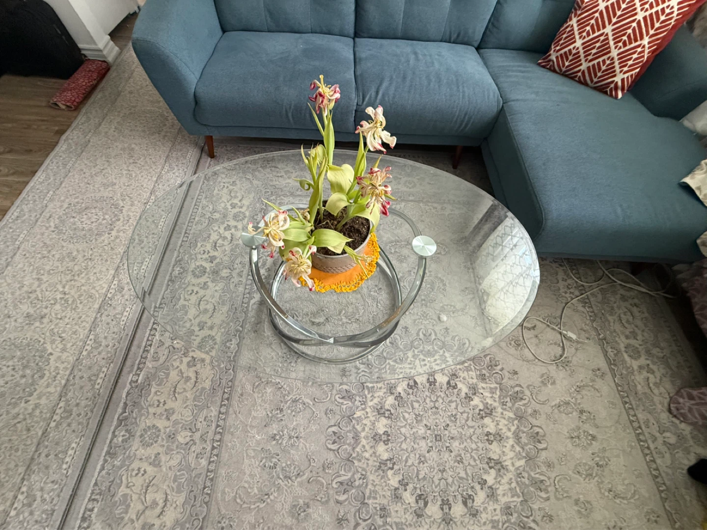 Oval Glass Coffee Table with Chrome Base