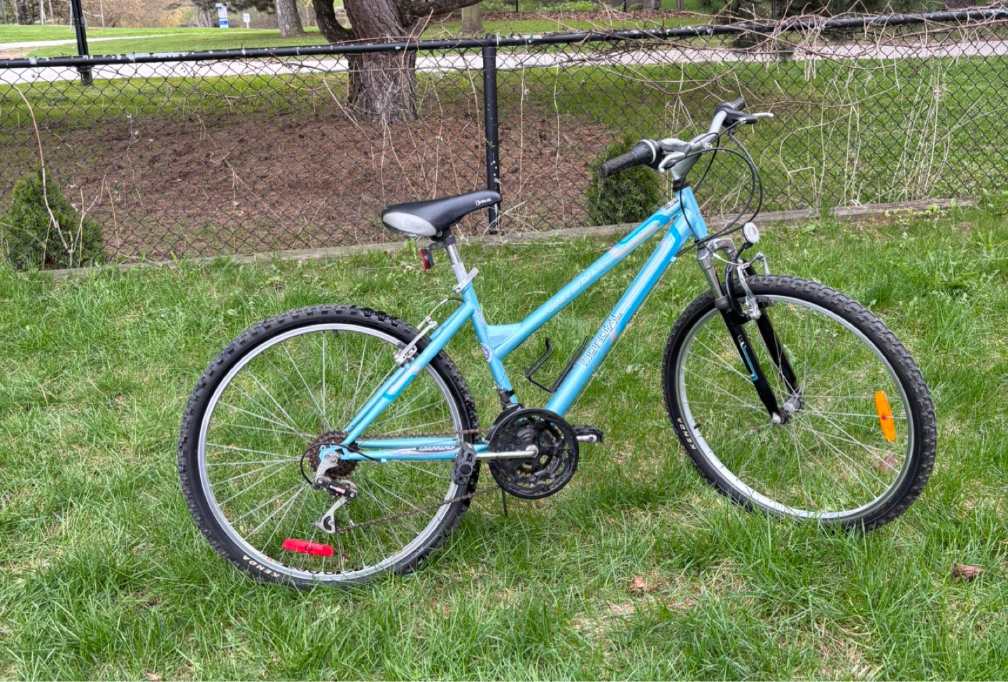 Blue Mountain Bike