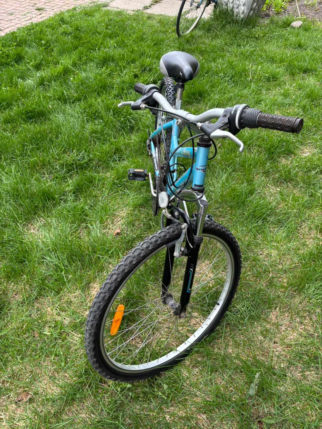 Blue Mountain Bike - photo 2