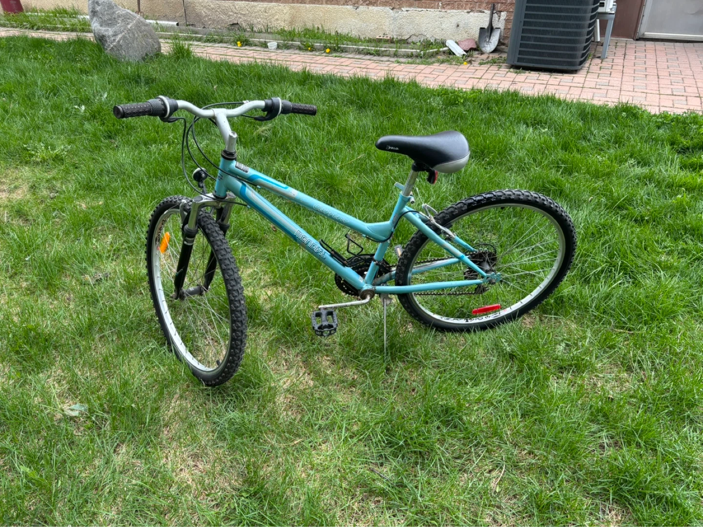 Blue Mountain Bike - photo 3