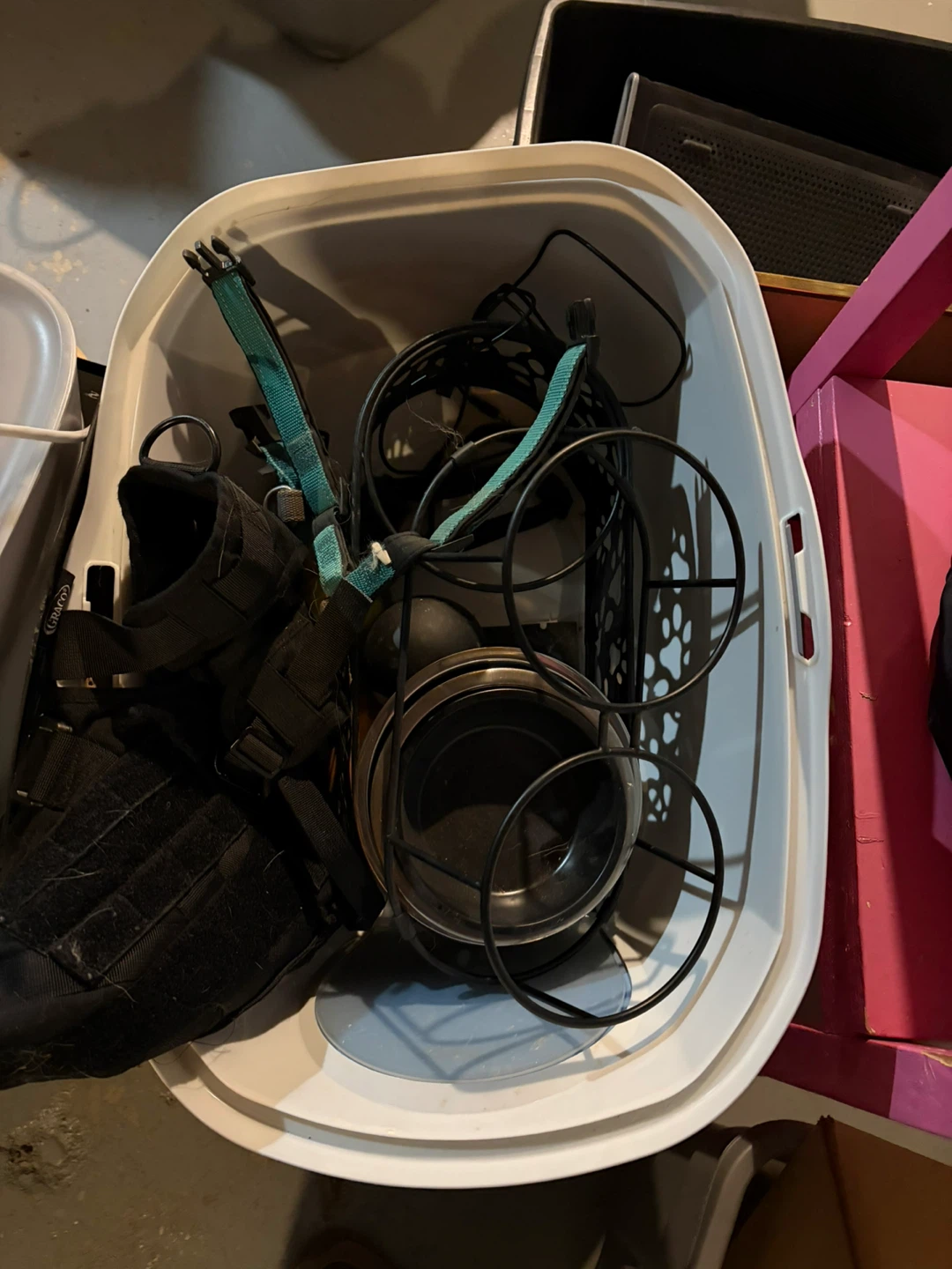 Pet Harness and Food Bowls