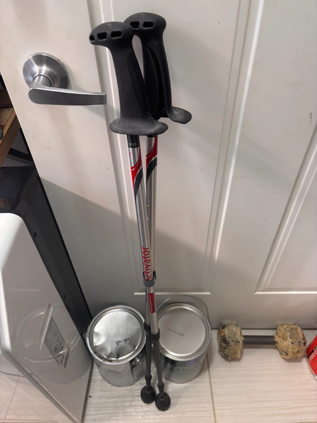 Activator Professional Trekking Poles