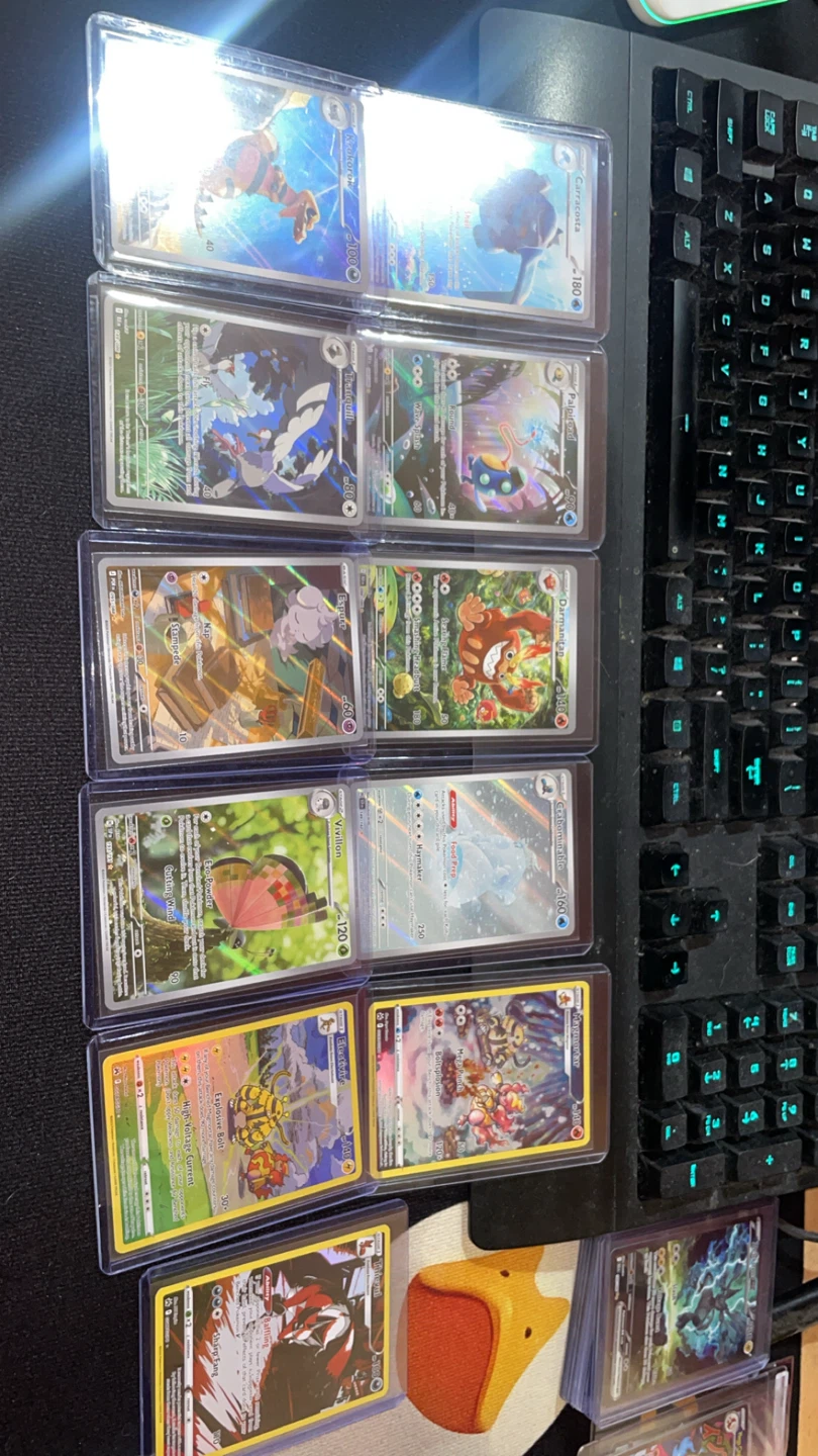 Nm pokemon singles