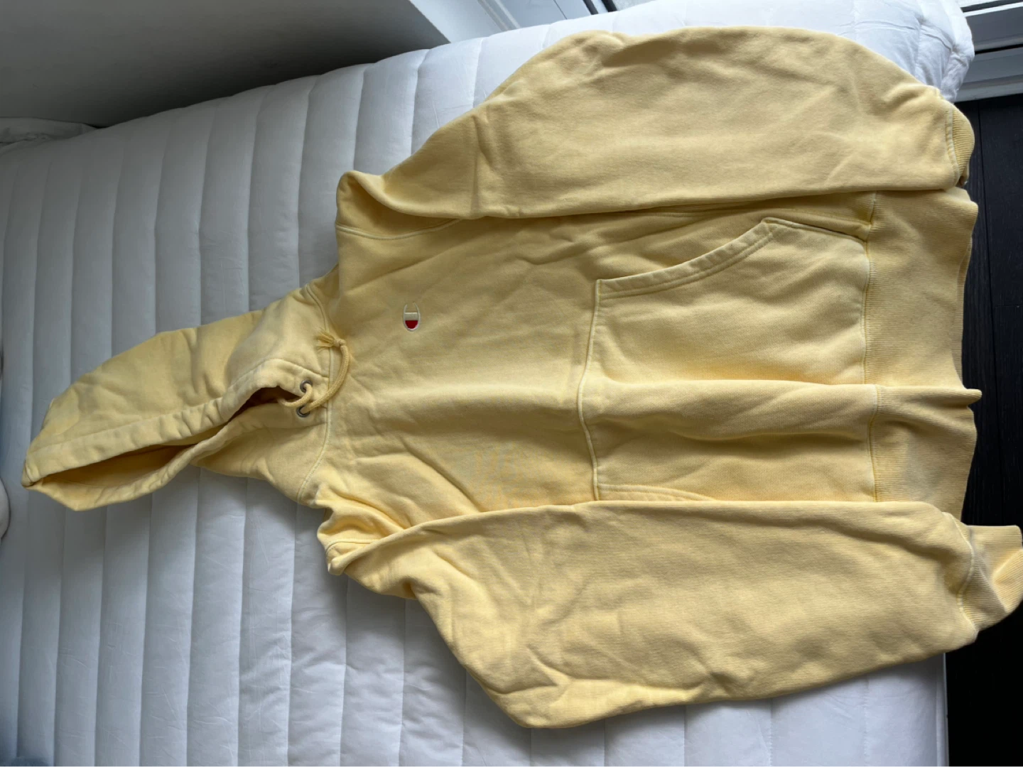 Champion Reverse Weave Hoodie