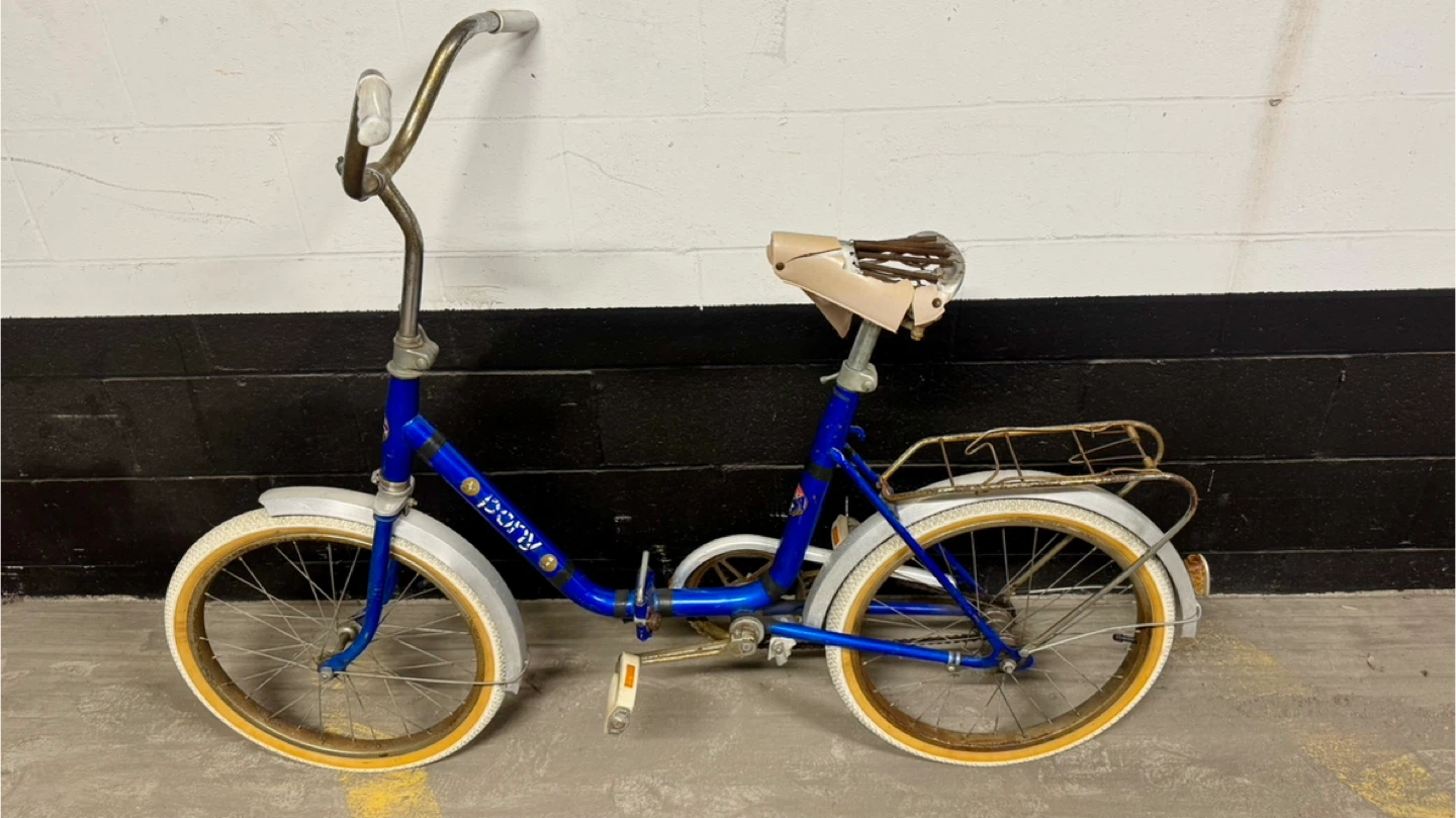 Blue Pony Folding Bicycle