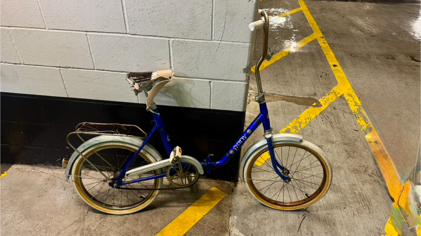 Blue Pony Folding Bicycle - photo 3