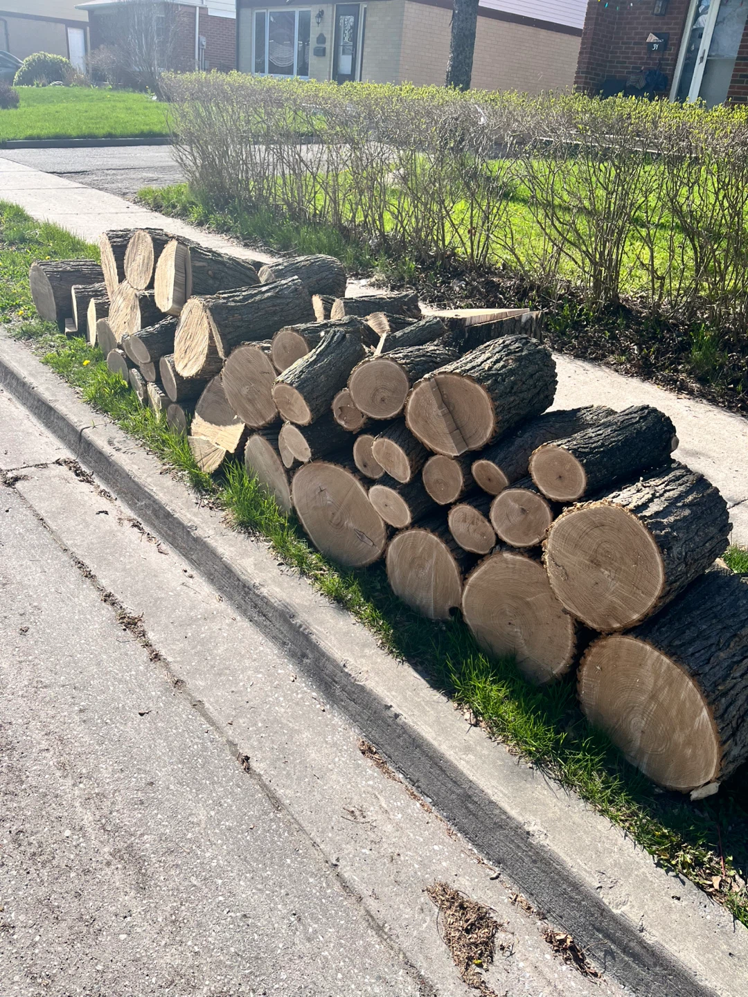 Perfectly Cut Firewood Logs - photo 2