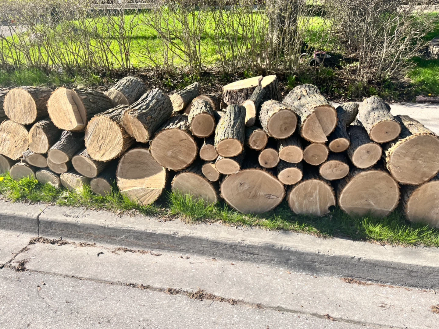 Perfectly Cut Firewood Logs