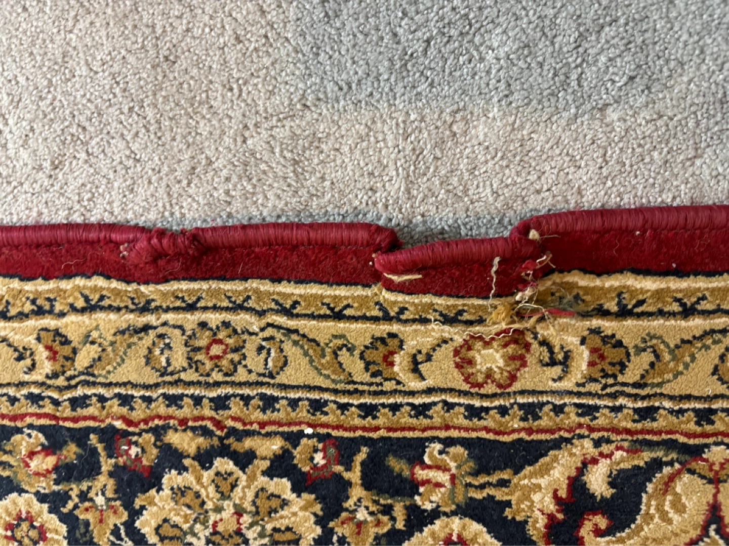Persian Style Area Rug - 7x9- AS IS - photo 3