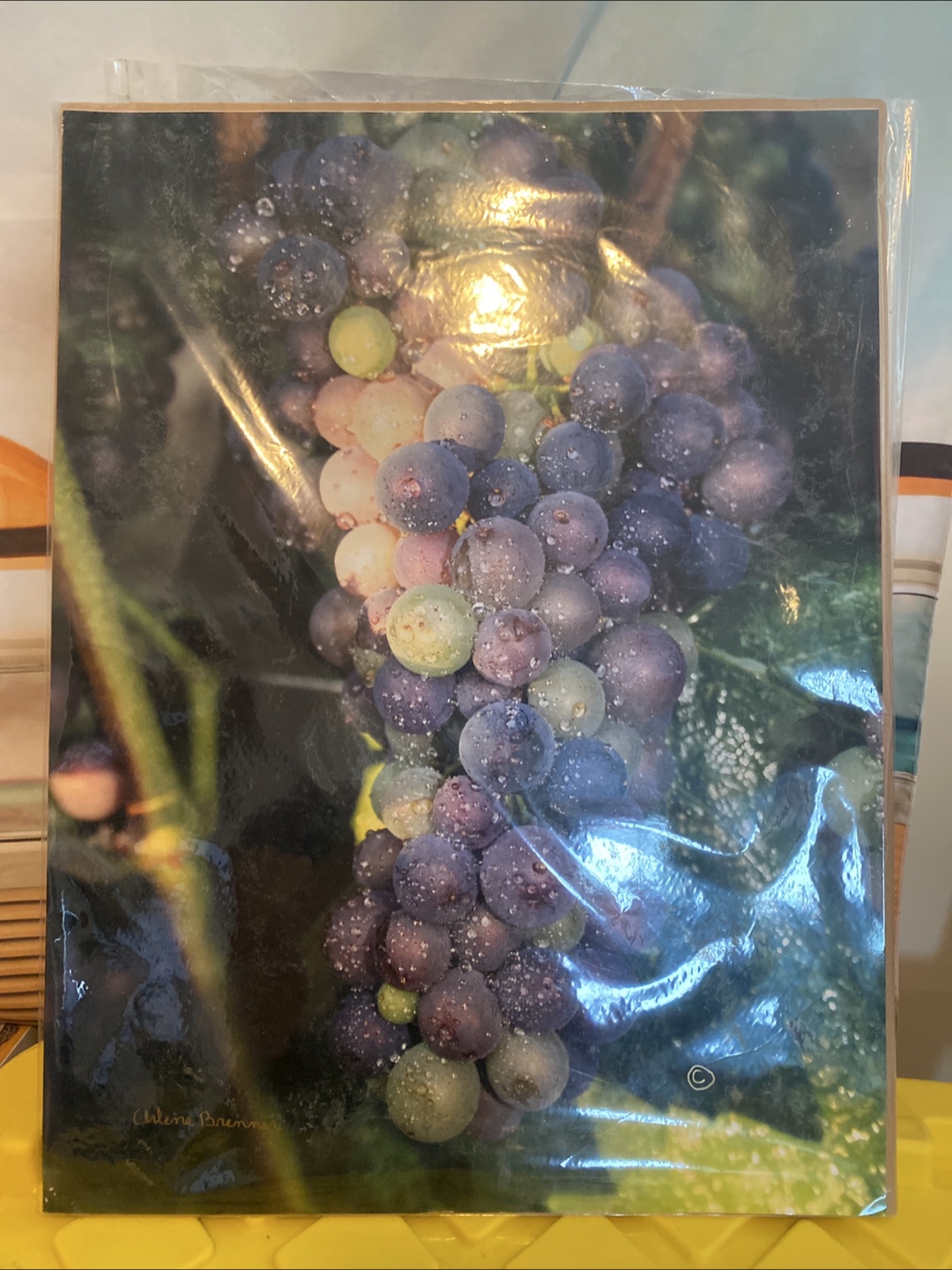 Arlene Brenner Art Print Picture - Grapes
