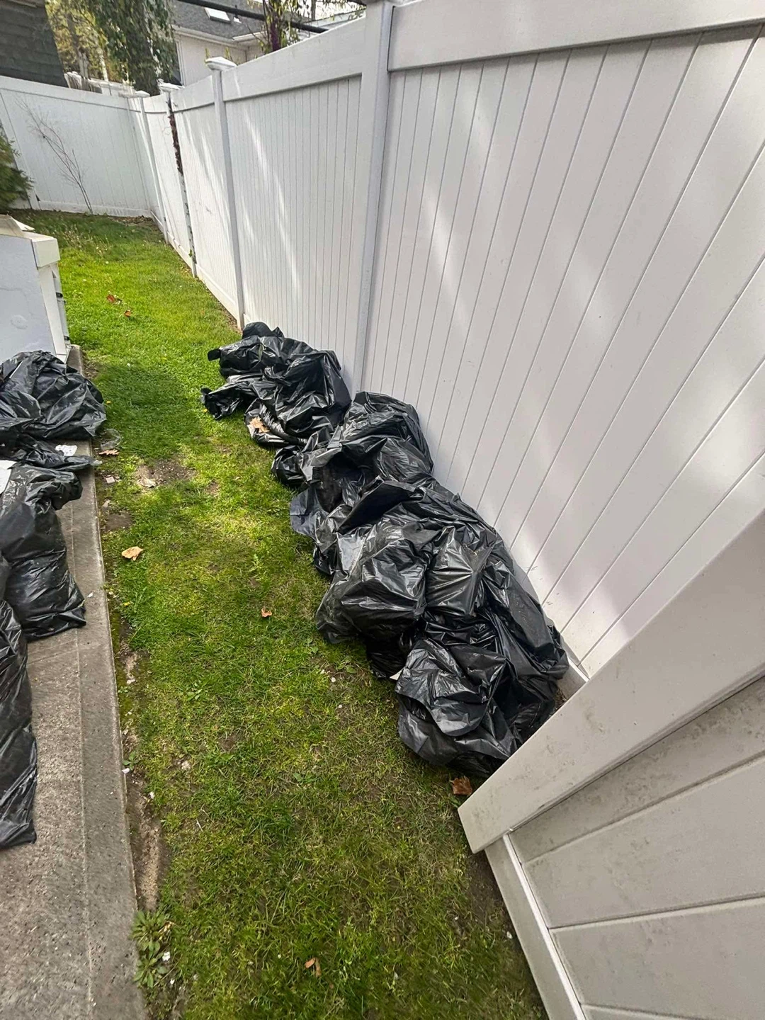 Bulk Trash Bags and Debris Removal Service - photo 3