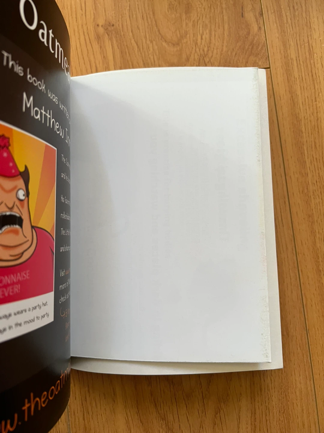 Funny cat book with poster - photo 2