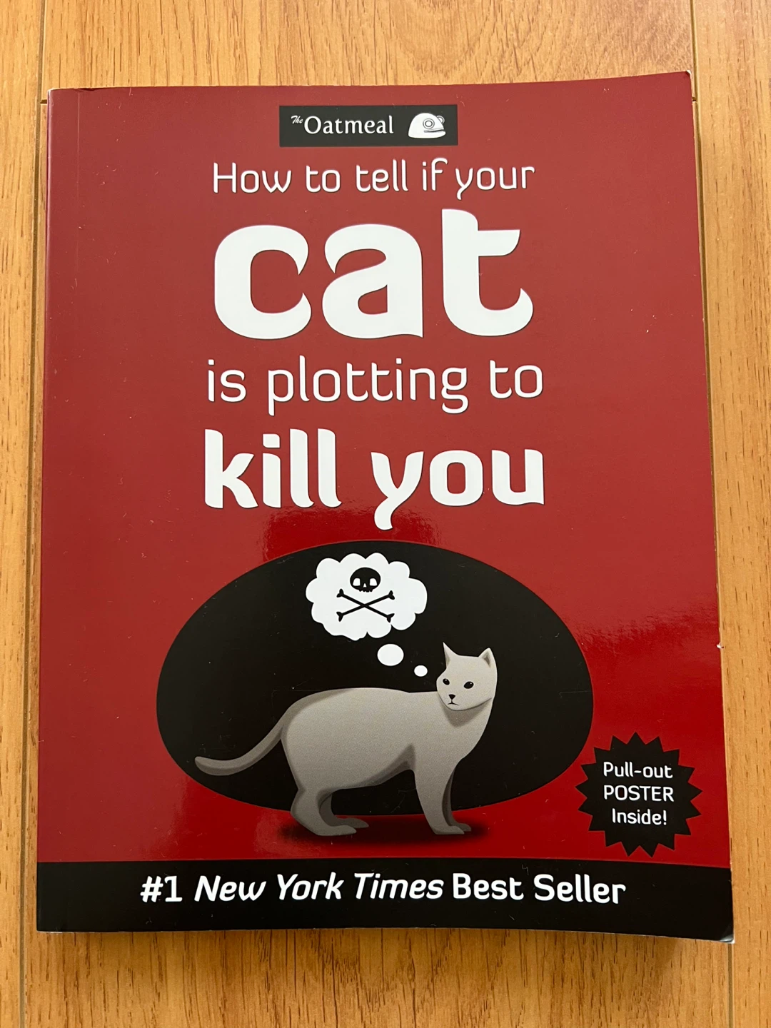 Funny cat book with poster