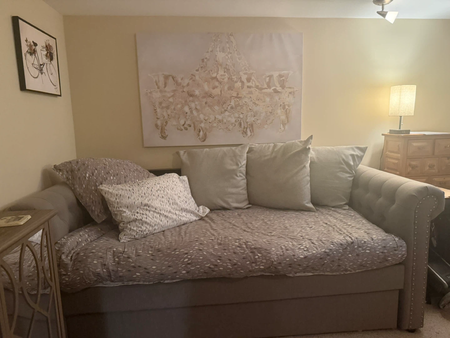 Tufted Daybed with Storage
