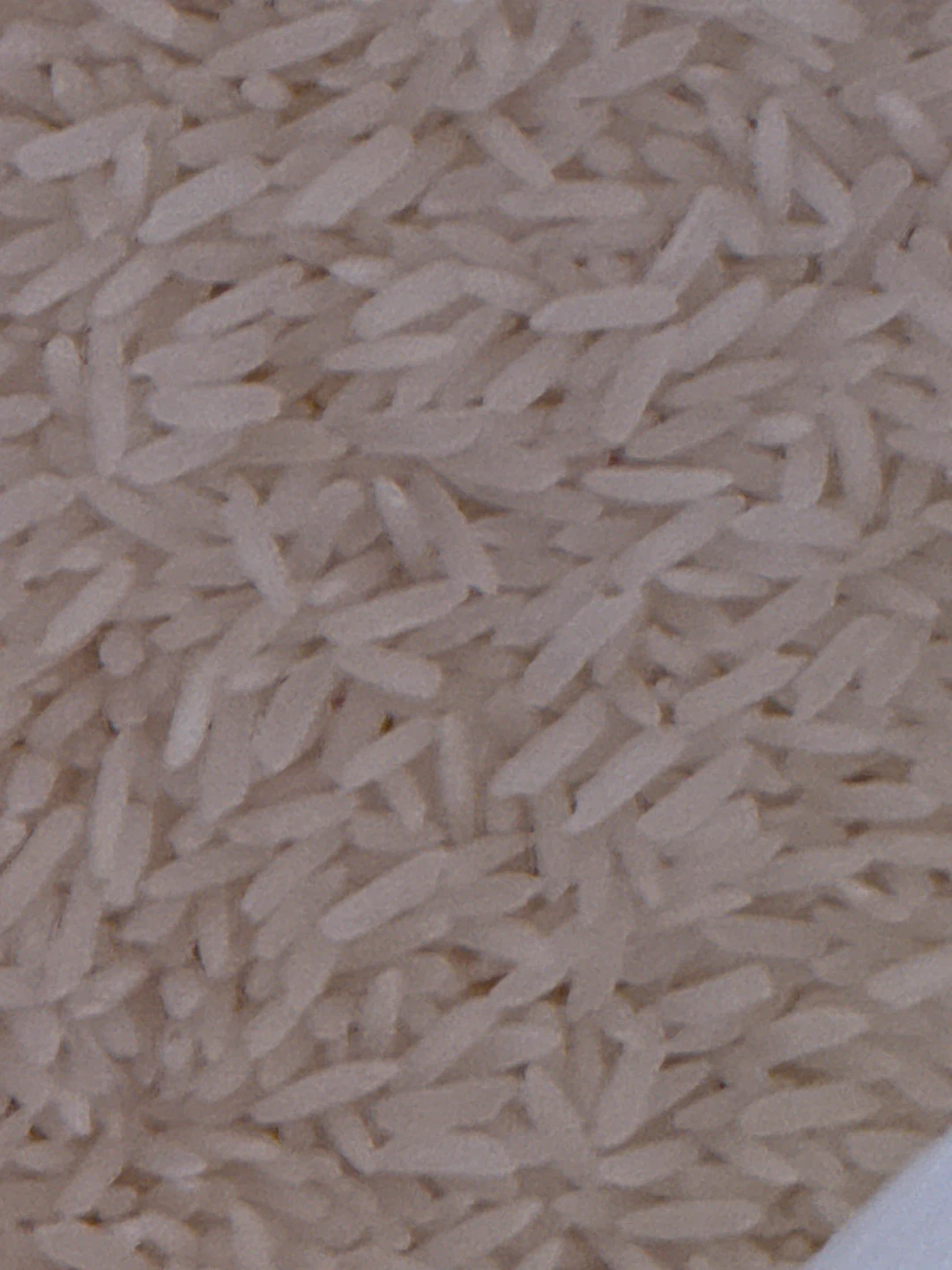 FREE jasmine rice - photo 2