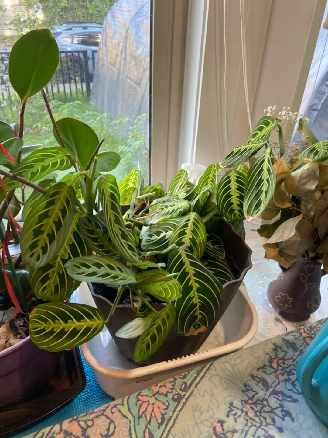 Plants pot - photo 3