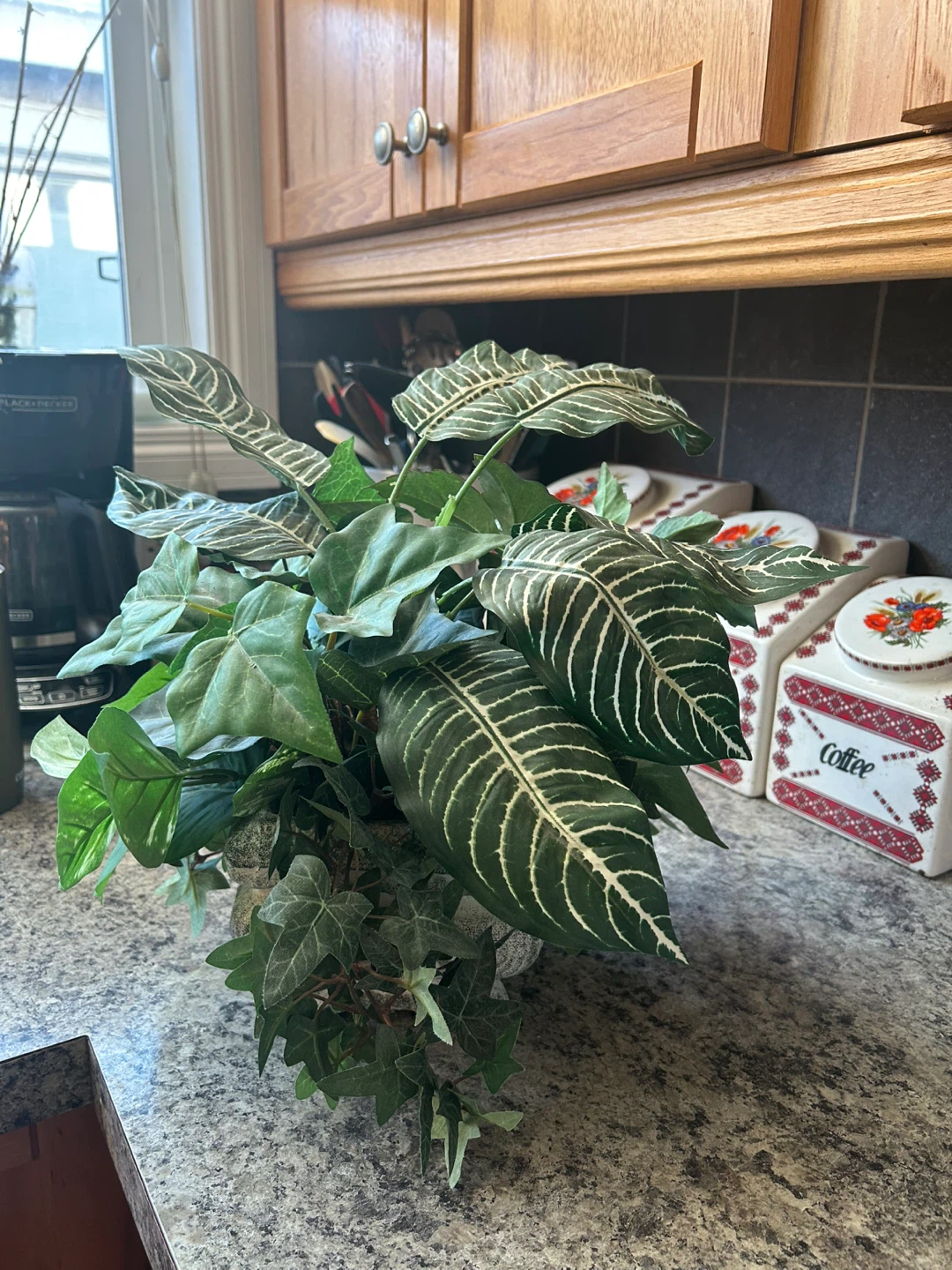 Artificial Zebra Plant