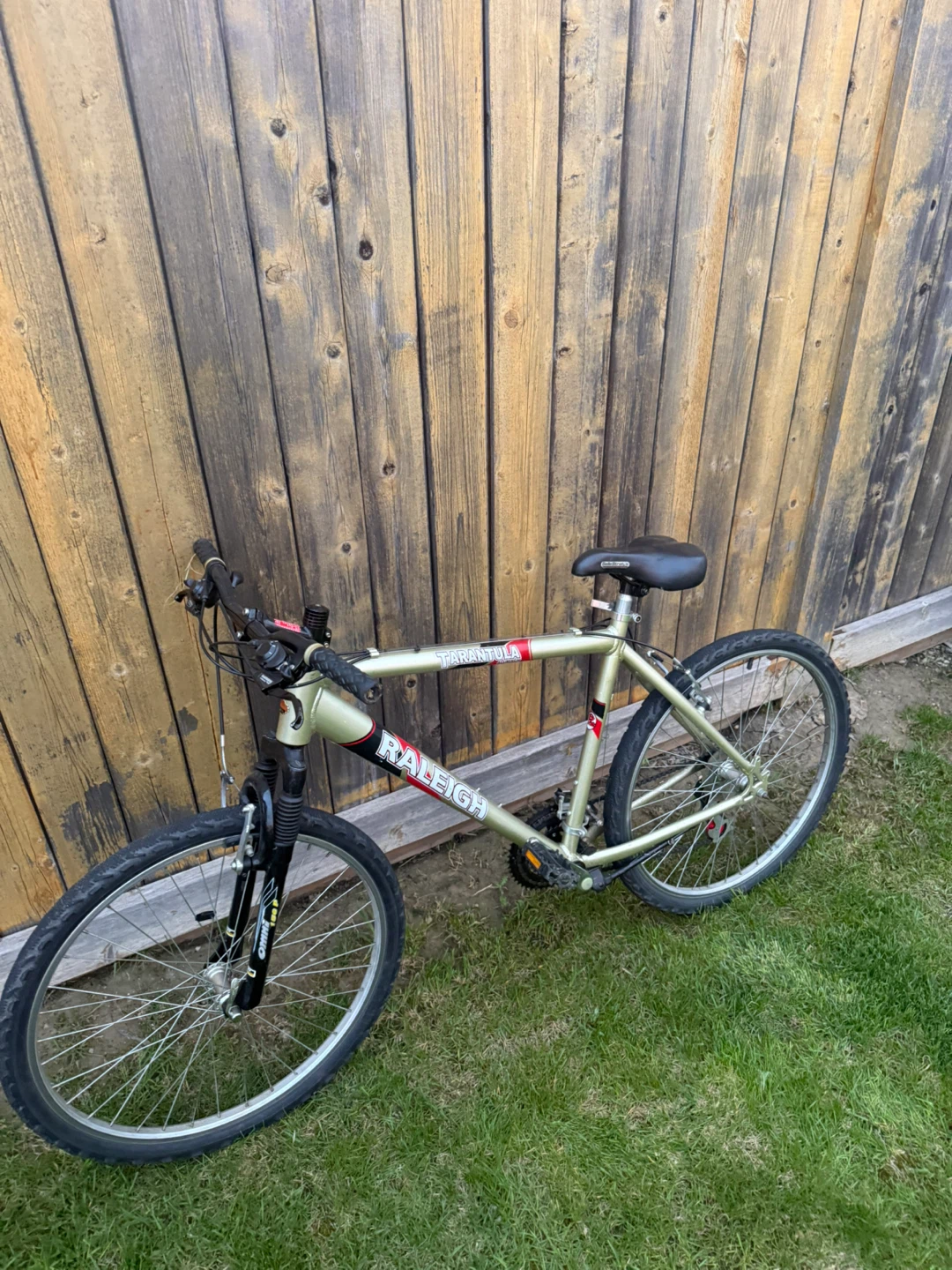 Raleigh Mountain Bike