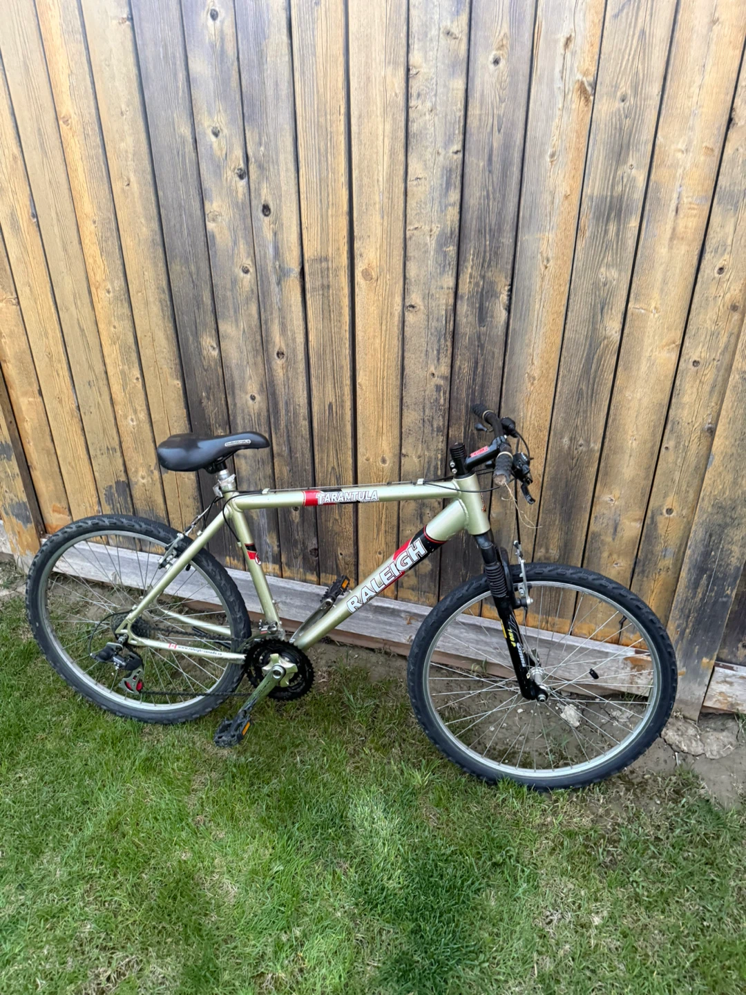 Raleigh Mountain Bike - photo 3