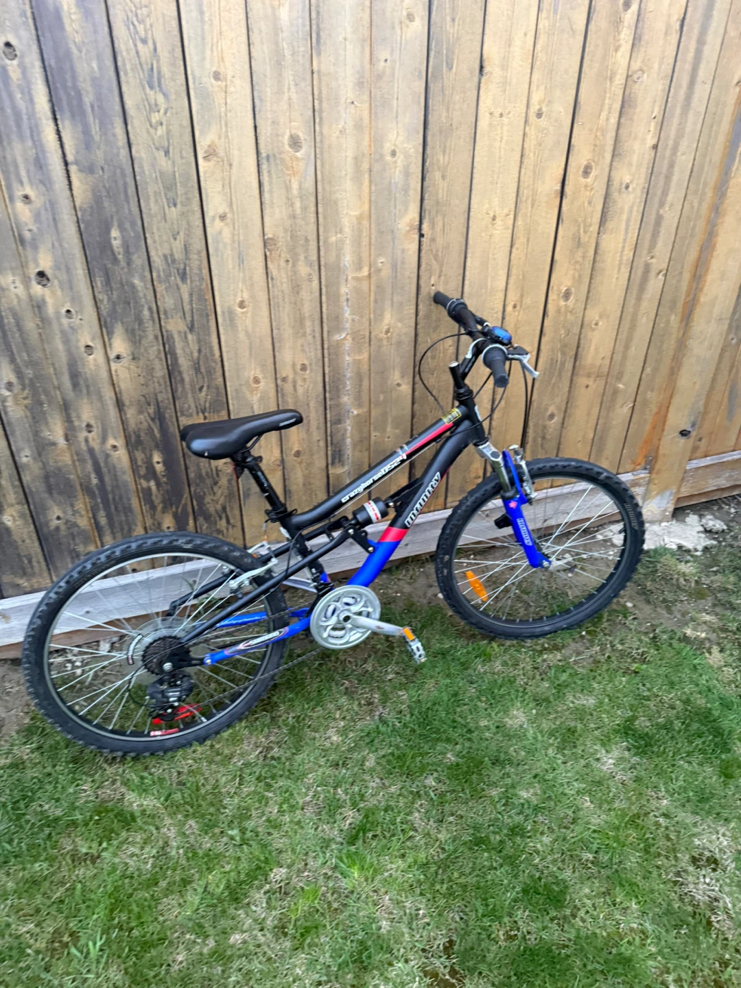 Mountain Bike - photo 2