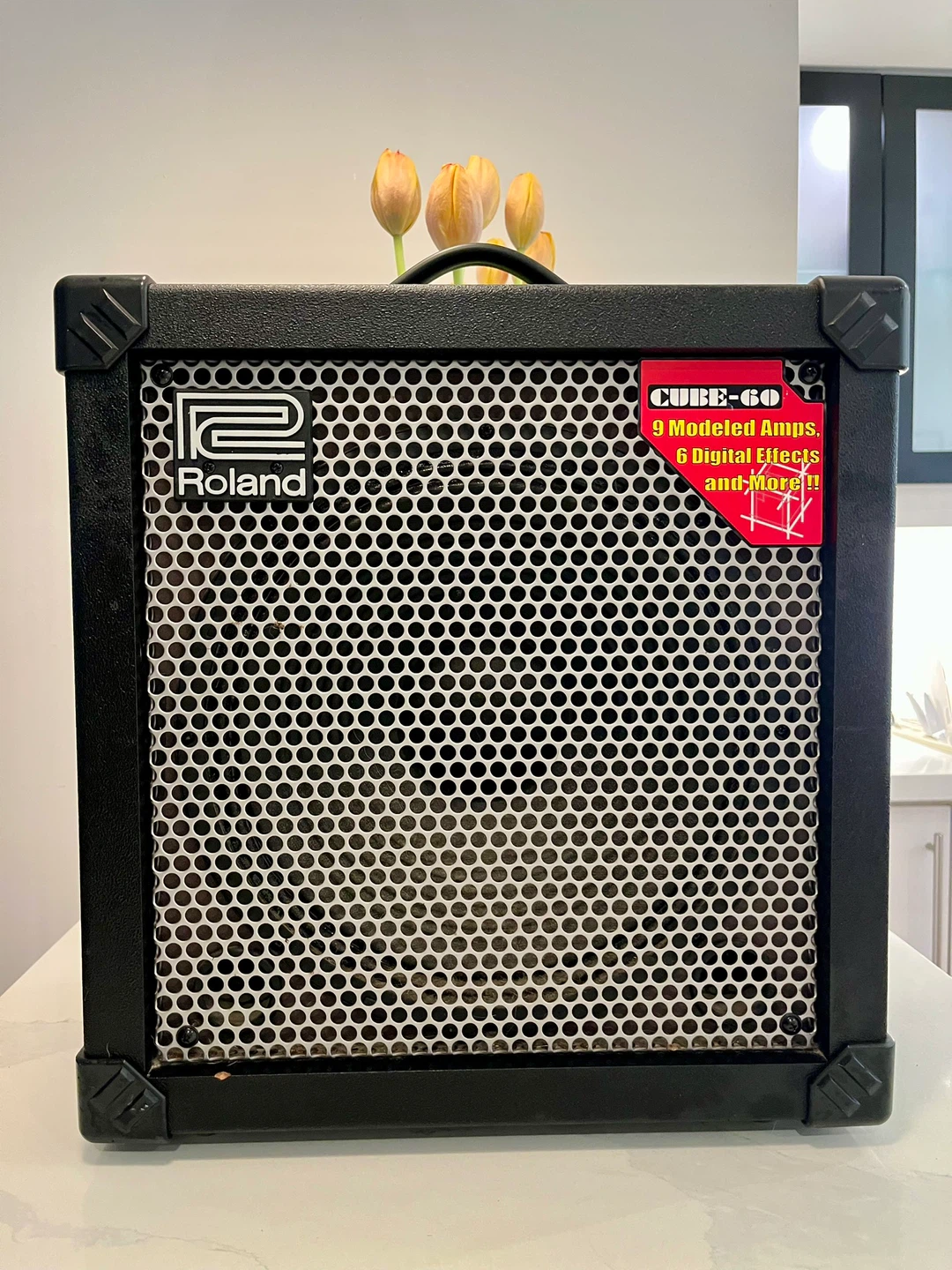 Roland CUBE-60 Guitar Amplifier